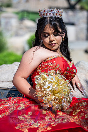 IMG _0379-3