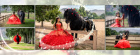 Lily_Album_05