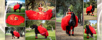 Lily_Album_07