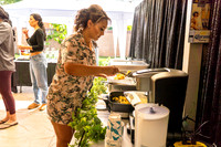 IMG _0006