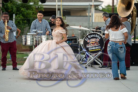 IMG - 0418