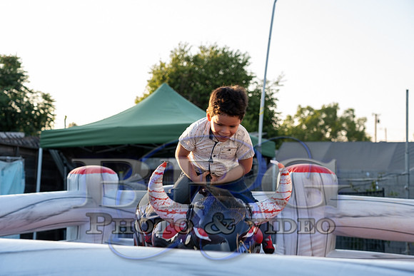 IMG - 0391
