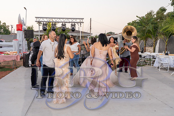 IMG - 0445