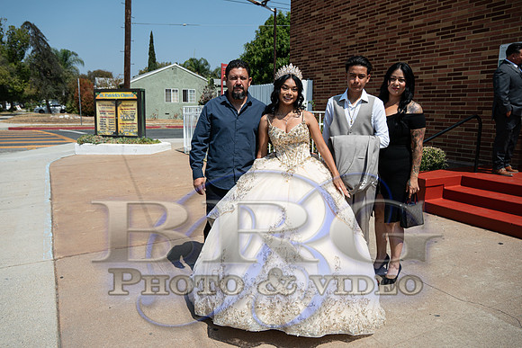 IMG -0169