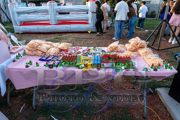 IMG - 0381