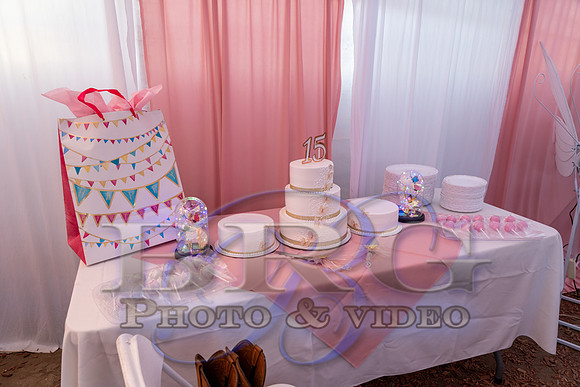 IMG - 0384