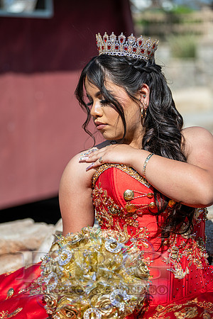 IMG _0380-3