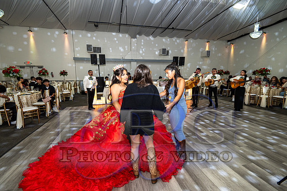 IMG _0464-3